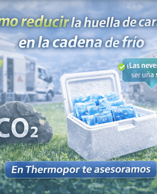 Como reducir la huella de carbono